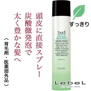 THEO / ジオ -育毛剤- スキャルプビルダー(スキャルプエッセンス SB) <140g>