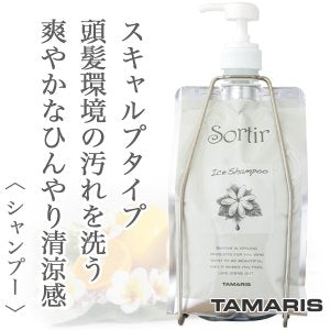 Sortir / ソルティール アイスシャンプー【容量:3サイズあり】 <150ml・1,000ml(ポンプ、フォルダー付)・詰替え用1,000ml>