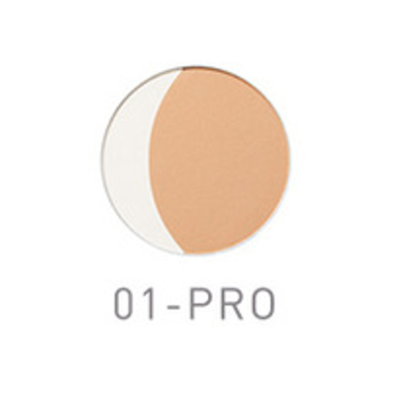 CEFINE / セフィーヌ FOR SALONS シルクウェットパウダー レフィル PRO【カラー:3色あり】