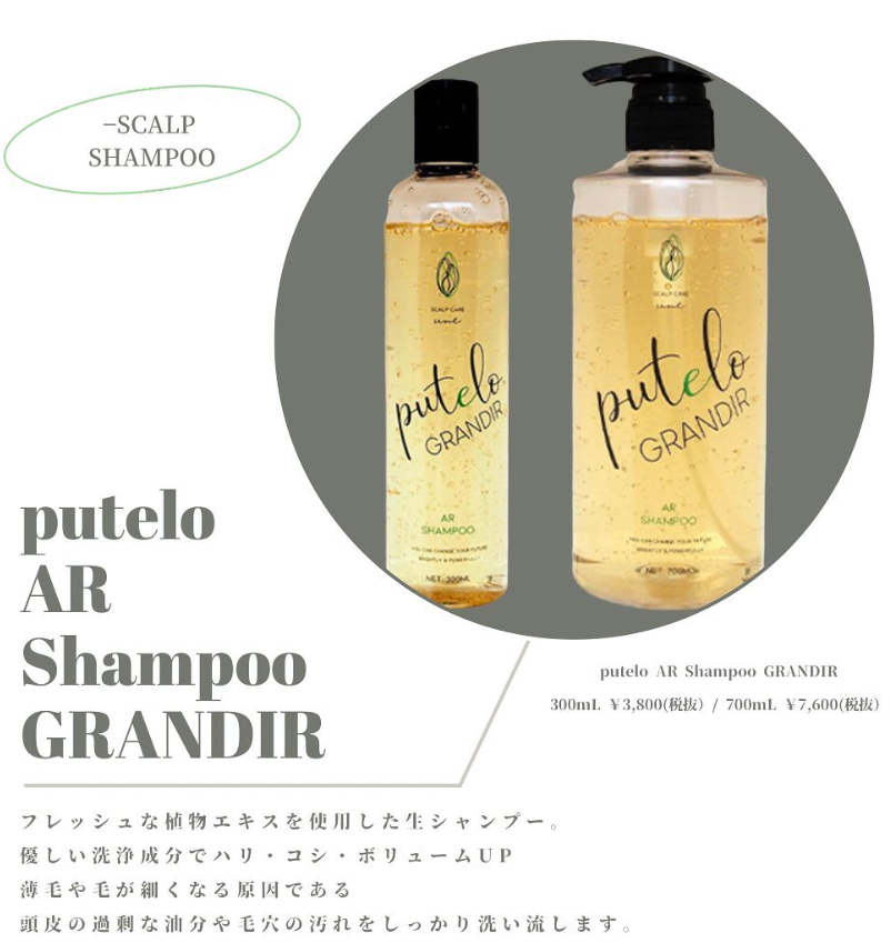ptelo / プテロ ARシャンプー グランディール【容量:2サイズあり】 <300ml・700ml>