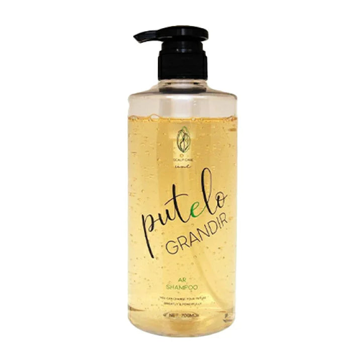 ptelo / プテロ ARシャンプー グランディール【容量:2サイズあり】 <300ml・700ml>