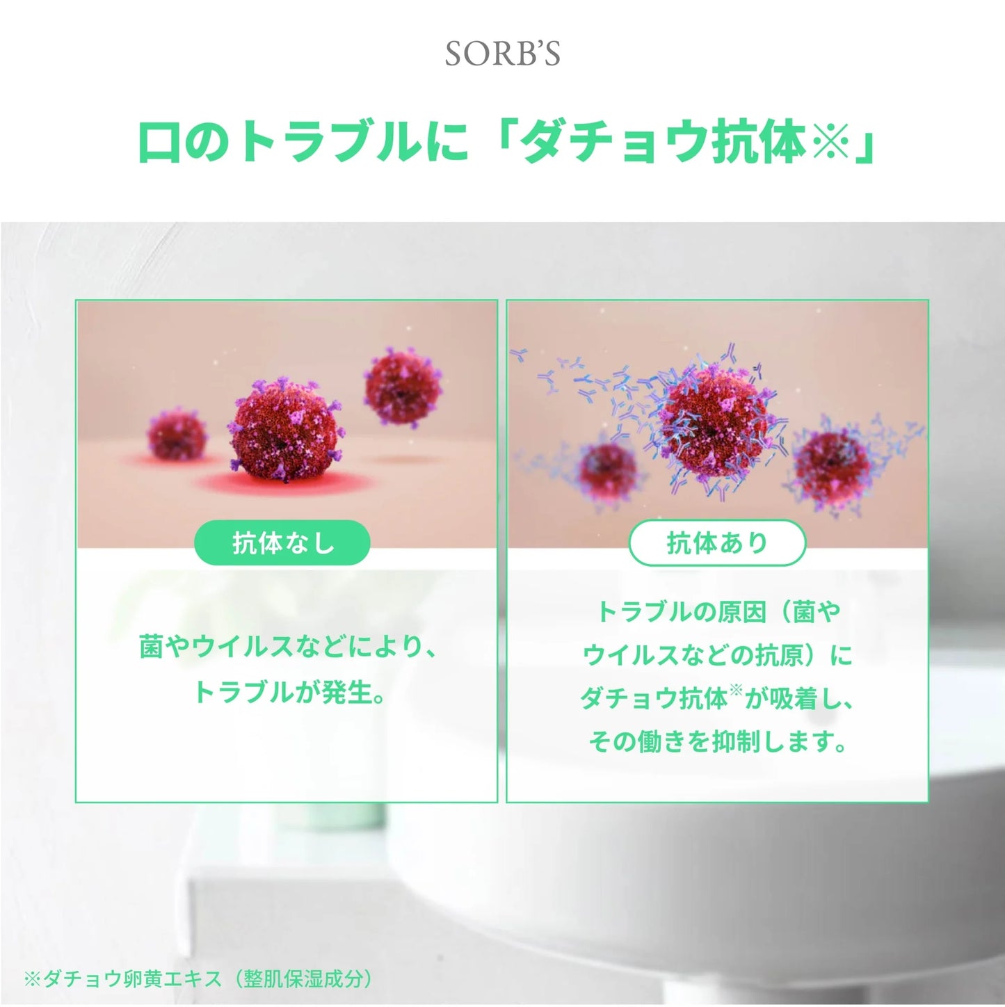 SORB'S　オーラルウォッシュ　<500mL>