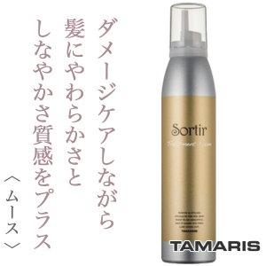 Sortir / ソルティール　トリートメント フォーム　<180g>