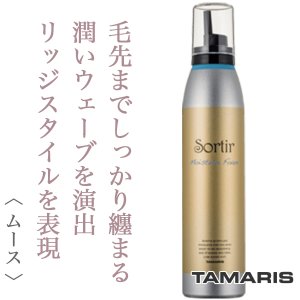 Sortir / ソルティール　モイスチャー フォーム　<180g>