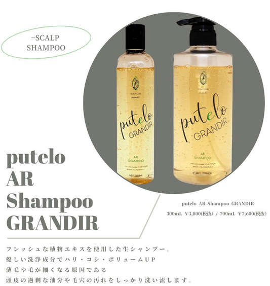 ptelo / プテロ　ARシャンプー グランディール【容量：2サイズあり】　<300ml・700ml>