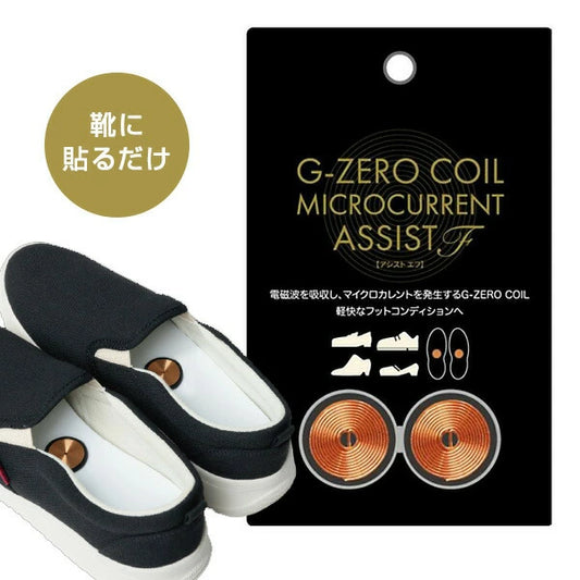 G-ZERO COIL ASSIST F24（ジーゼロコイル アシストF24）　<2個入り>